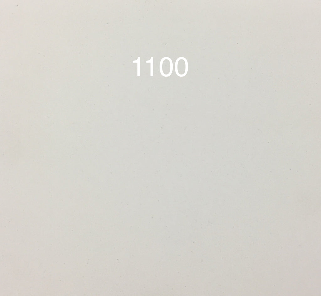 N20-1100