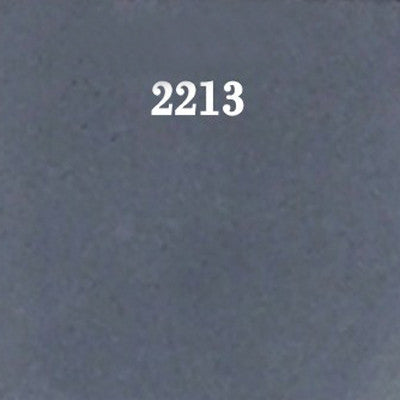 N20-2213