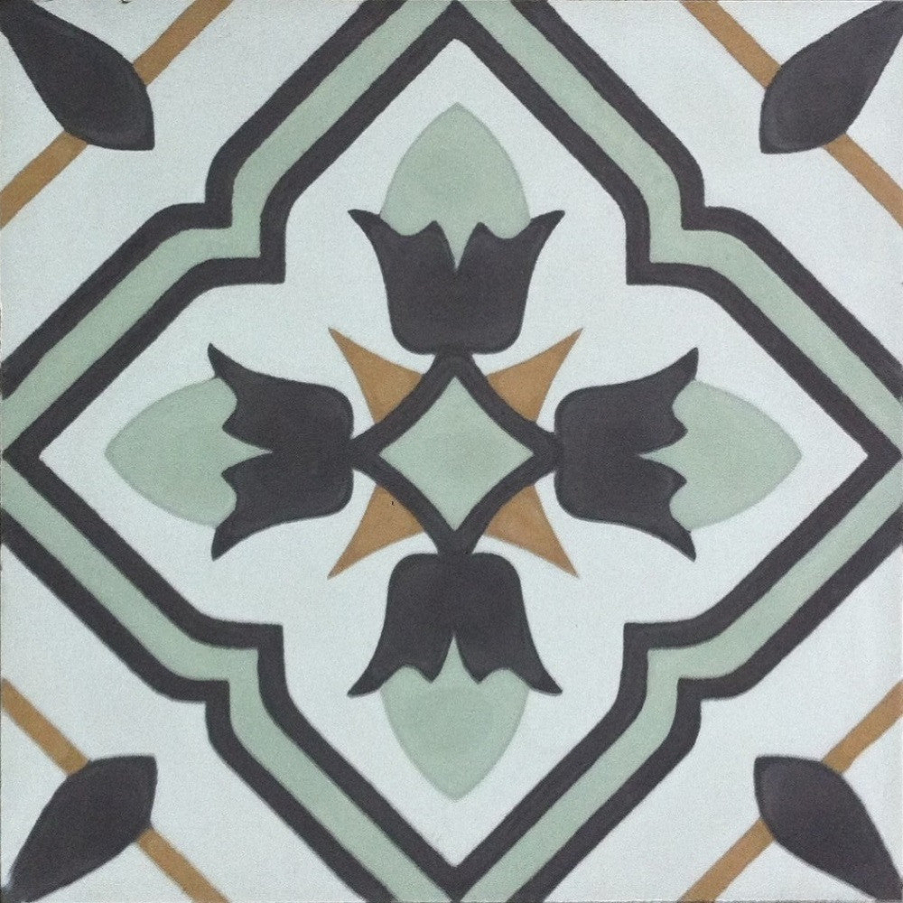 Traditional N20-022