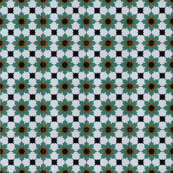 Traditional N20-028