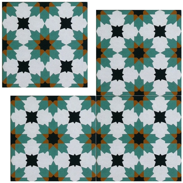 Traditional N20-028