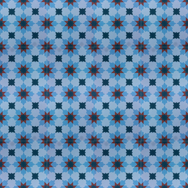 Traditional N20-028
