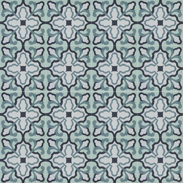 Traditional N20-041