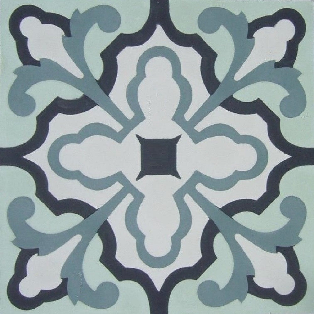 Traditional N20-041
